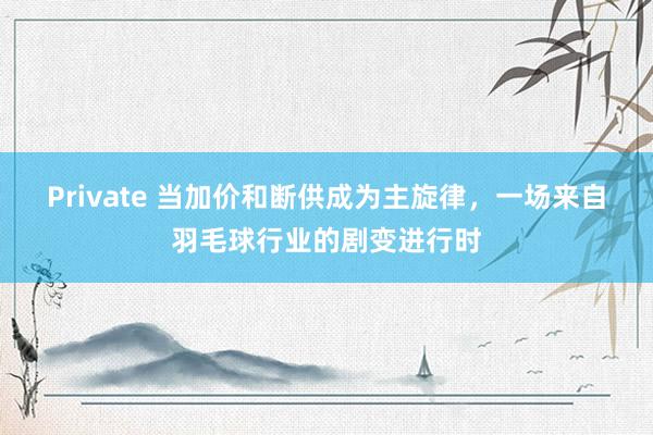 Private 当加价和断供成为主旋律，一场来自羽毛球行业的剧变进行时