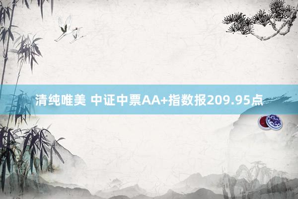 清纯唯美 中证中票AA+指数报209.95点