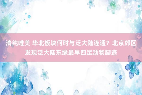 清纯唯美 华北板块何时与泛大陆连通？北京郊区发现泛大陆东缘最早四足动物脚迹