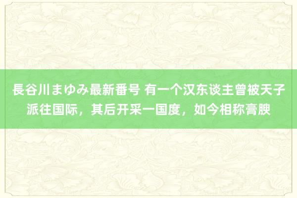 長谷川まゆみ最新番号 有一个汉东谈主曾被天子派往国际，其后开采一国度，如今相称膏腴