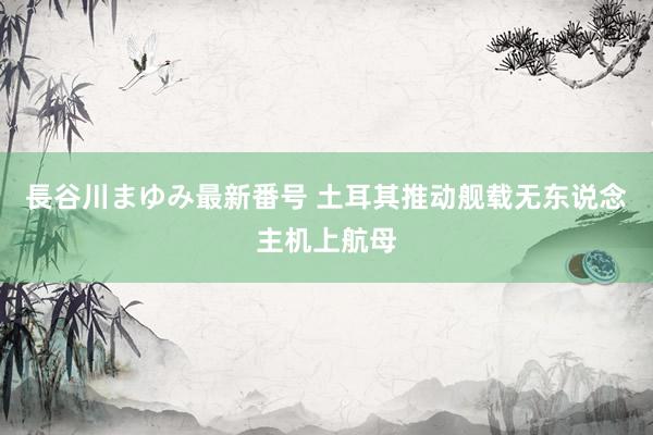 長谷川まゆみ最新番号 土耳其推动舰载无东说念主机上航母