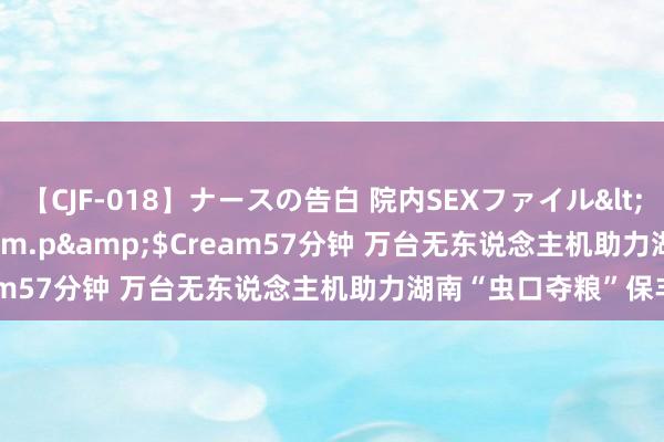 【CJF-018】ナースの告白 院内SEXファイル</a>2008-03-07h.m.p&$Cream57分钟 万台无东说念主机助力湖南“虫口夺粮”保丰充