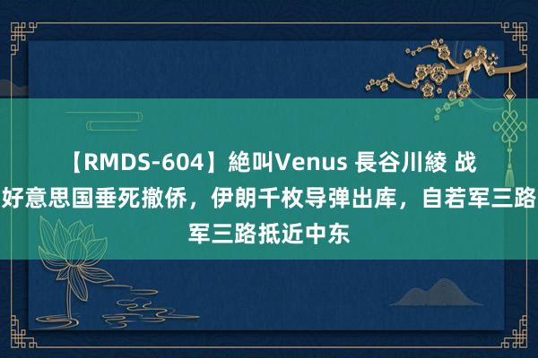 【RMDS-604】絶叫Venus 長谷川綾 战斗打响！好意思国垂死撤侨，伊朗千枚导弹出库，自若军三路抵近中东