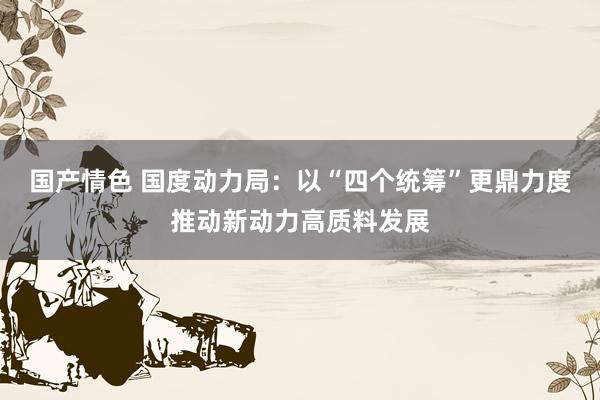 国产情色 国度动力局：以“四个统筹”更鼎力度推动新动力高质料发展