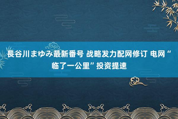 長谷川まゆみ最新番号 战略发力配网修订 电网“临了一公里”投资提速