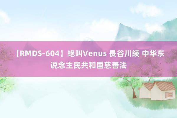 【RMDS-604】絶叫Venus 長谷川綾 中华东说念主民共和国慈善法