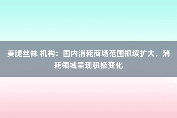 美腿丝袜 机构：国内消耗商场范围抓续扩大，消耗领域呈现积极变化