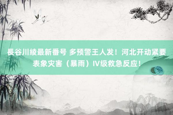 長谷川綾最新番号 多预警王人发！河北开动紧要表象灾害（暴雨）Ⅳ级救急反应！