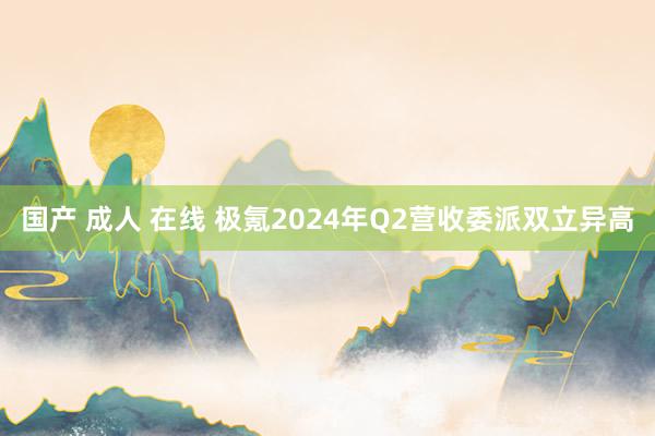 国产 成人 在线 极氪2024年Q2营收委派双立异高