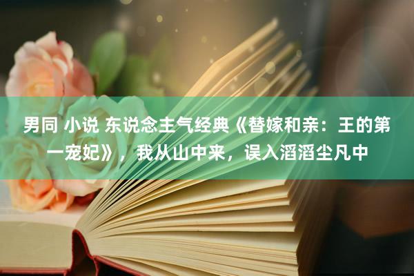 男同 小说 东说念主气经典《替嫁和亲：王的第一宠妃》，我从山中来，误入滔滔尘凡中