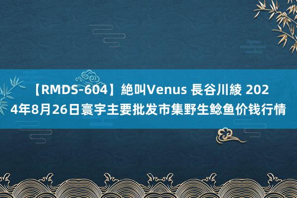 【RMDS-604】絶叫Venus 長谷川綾 2024年8月26日寰宇主要批发市集野生鲶鱼价钱行情