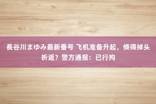 長谷川まゆみ最新番号 飞机准备升起，倏得掉头折返？警方通报：已行拘