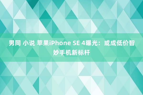 男同 小说 苹果iPhone SE 4曝光：或成低价智妙手机新标杆