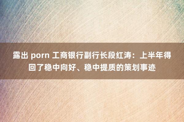 露出 porn 工商银行副行长段红涛：上半年得回了稳中向好、稳中提质的策划事迹