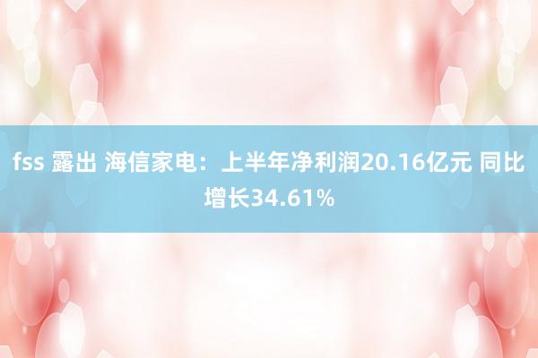 fss 露出 海信家电：上半年净利润20.16亿元 同比增长34.61%