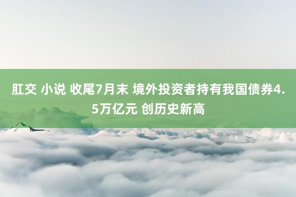 肛交 小说 收尾7月末 境外投资者持有我国债券4.5万亿元 创历史新高